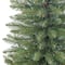 3ft. Pre-Lit Artificial Fraser Fir Tree, Multicolor Lights